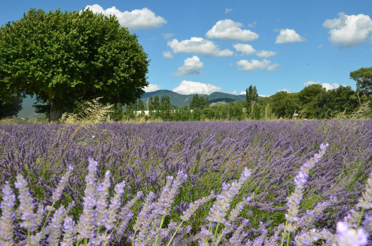 Mas De L'Amme Bed & Breakfast Valréas Dış mekan fotoğraf