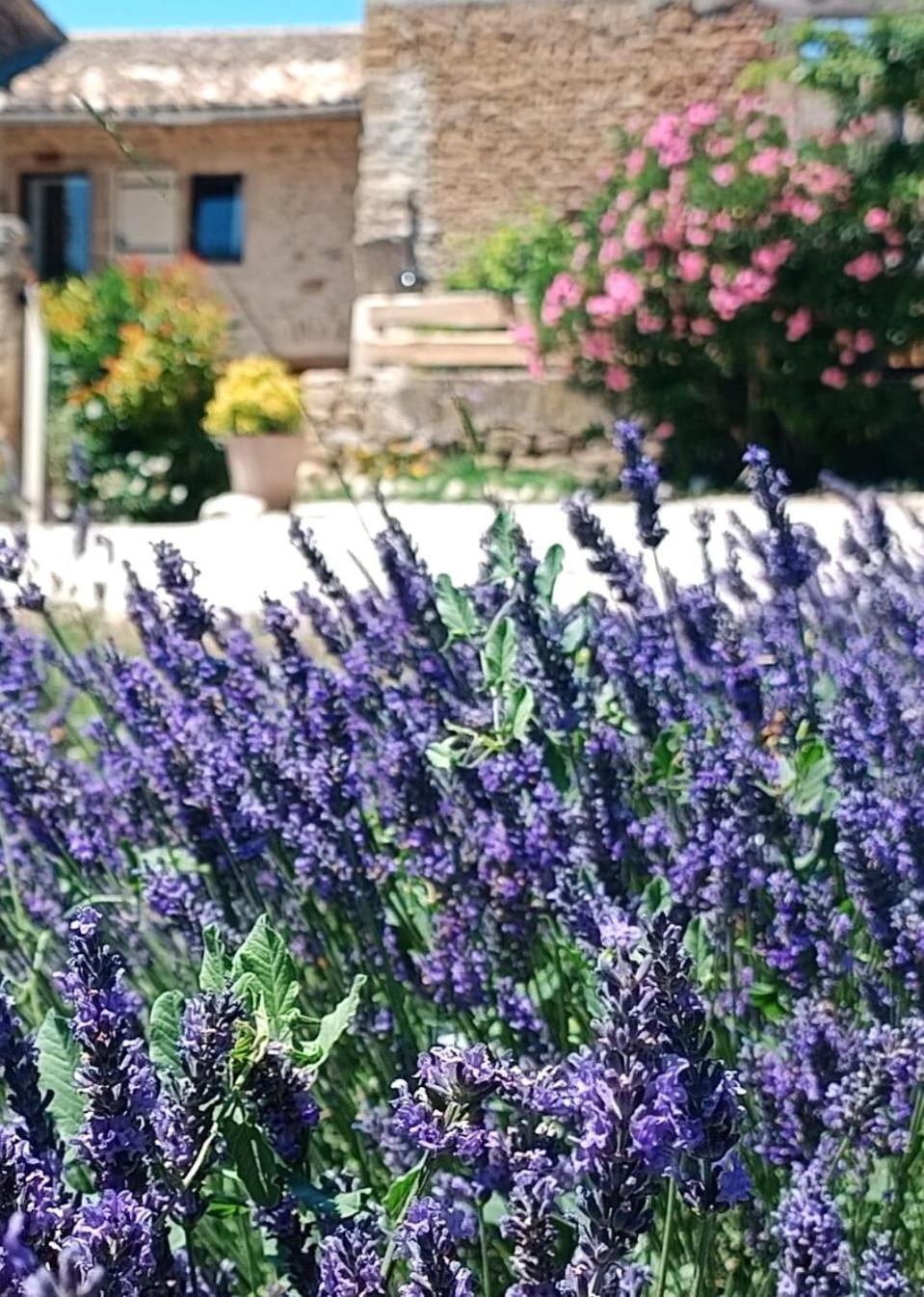 Mas De L'Amme Bed & Breakfast Valréas Dış mekan fotoğraf